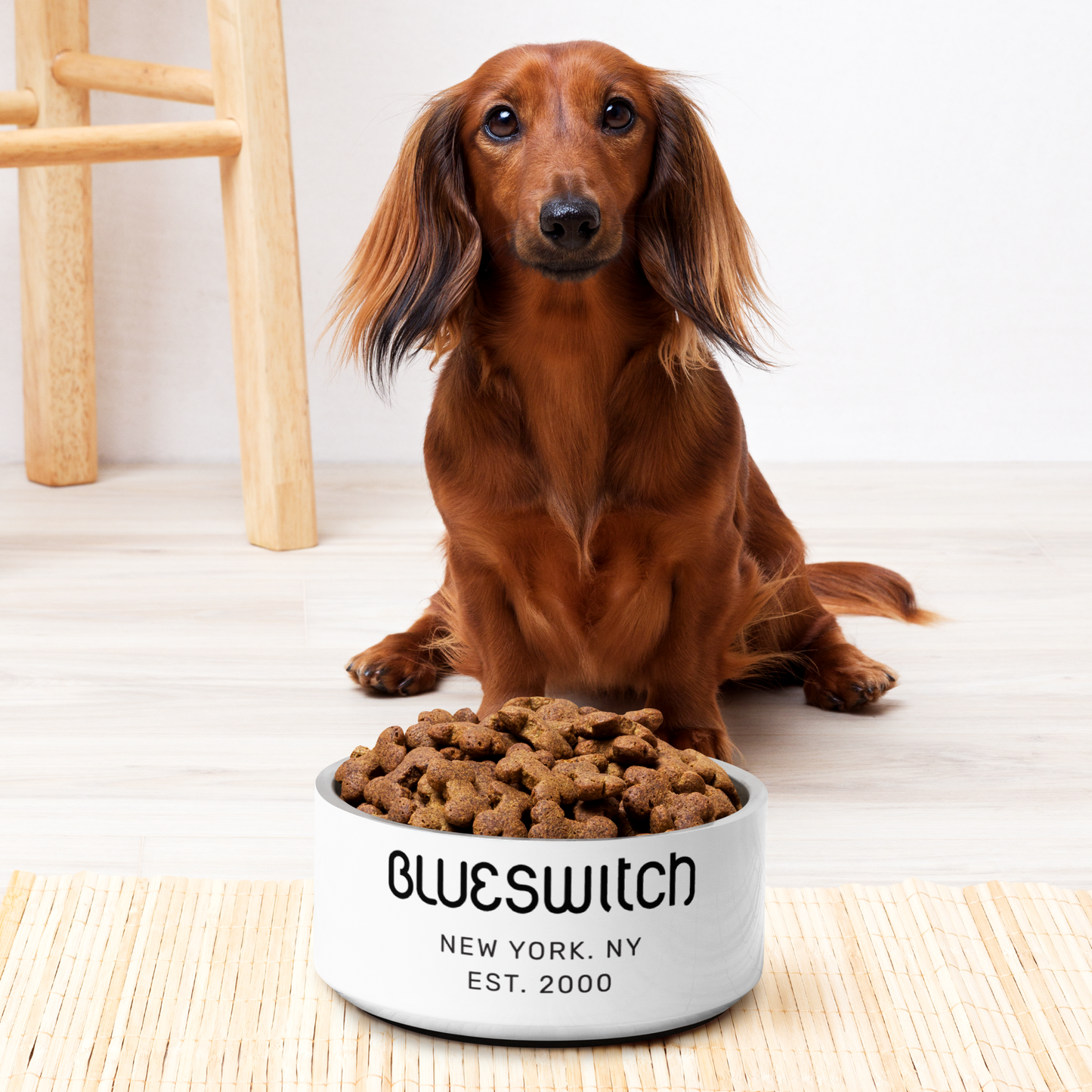 The Linus Pet Bowl